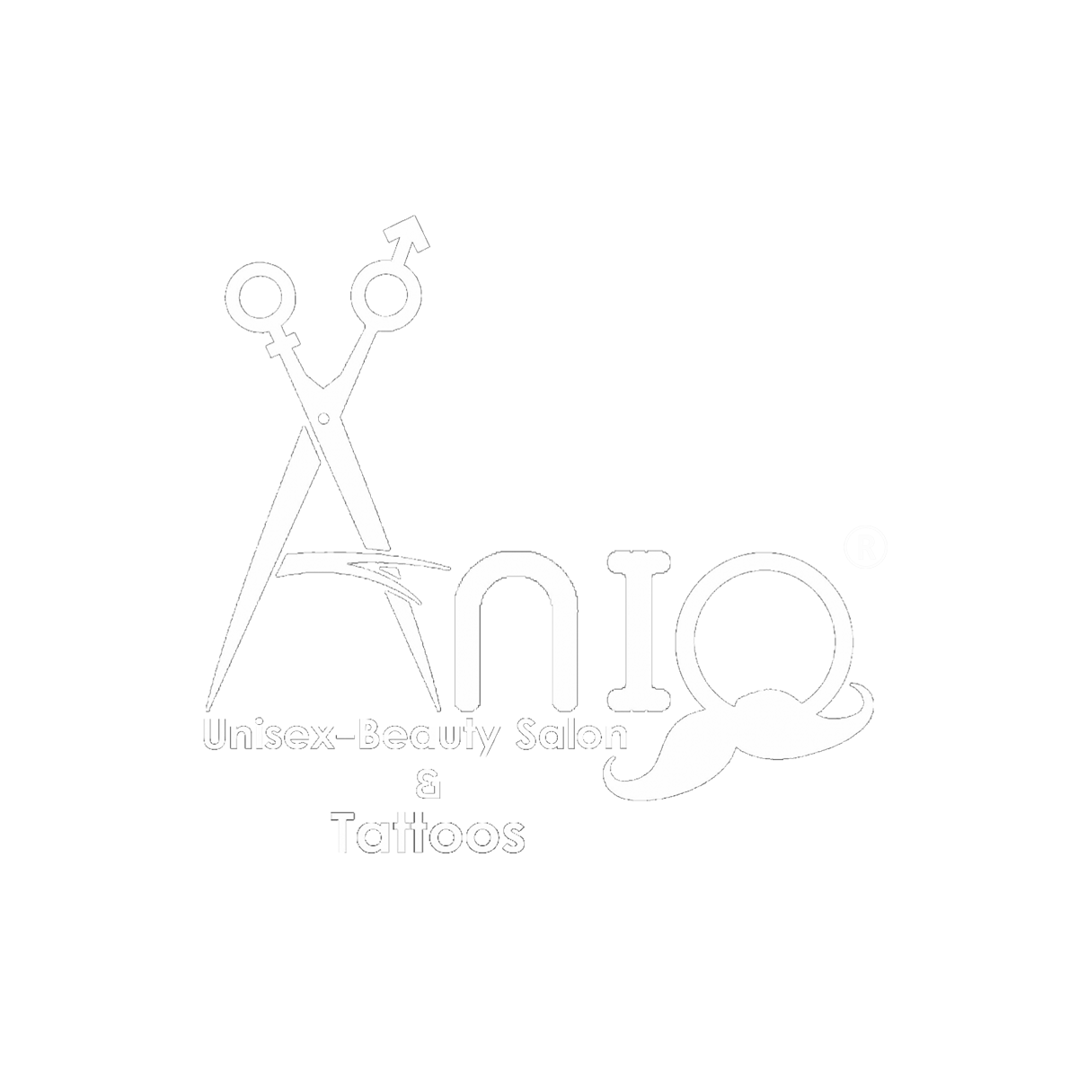 ANIQ Logo